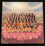 George Harrison - Dark Horse., Ophalen of Verzenden, Gebruikt