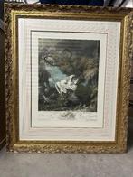 Kleurgravure/ print, Antiek en Kunst, Kunst | Etsen en Gravures, Ophalen