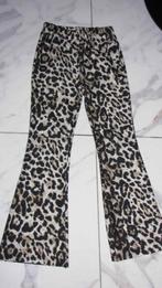 134-140 LUIPAARD flared broek, Ophalen of Verzenden, Zo goed als nieuw, Meisje, Broek