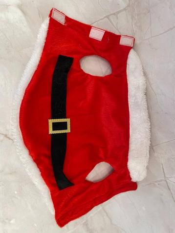 Kerstman / vrouw pak kleine hond beschikbaar voor biedingen