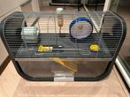 Hamsterkooi inclusief loopballen, Dieren en Toebehoren, Knaagdieren en Konijnen | Hokken en Kooien, Gebruikt, Minder dan 75 cm
