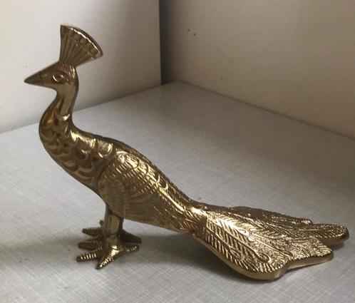 Goudkleurige Pauw, Verzamelen, Dierenverzamelingen, Ophalen of Verzenden