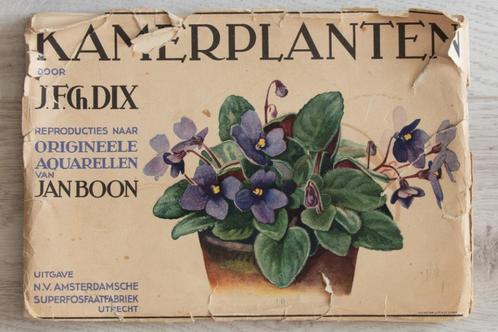Promotiemateriaal Kunstmestfabriek Kamerplanten prenten, Boeken, Wonen en Tuinieren, Gelezen, Kamerplanten, Ophalen
