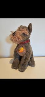 Steiff hondje " Cosy Schnauz", Ophalen of Verzenden, Zo goed als nieuw, Stoffen beer, Steiff