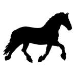 Verzorgster gezocht  Fries paard Den Hoorn, Diensten en Vakmensen, Dieren | Paarden | Verzorging, Oppas en Les