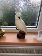 Vintage witte kaketoe, Ophalen