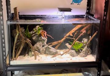 Brak water aquarium met leuk visbestand beschikbaar voor biedingen