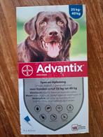 Advantix honden vlooien middel, Dieren en Toebehoren, Honden-accessoires, Ophalen of Verzenden, Nieuw