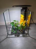 Super Fisch Qubiq 30 Pro aquarium, Dieren en Toebehoren, Ophalen, Zo goed als nieuw, Leeg aquarium