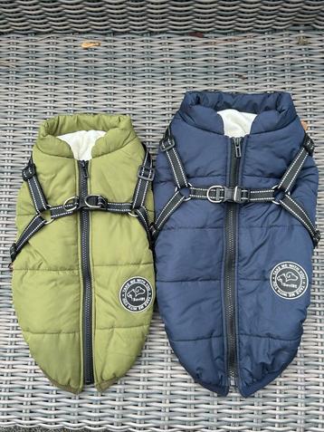 Winterhondenjas maat L en XL beschikbaar voor biedingen