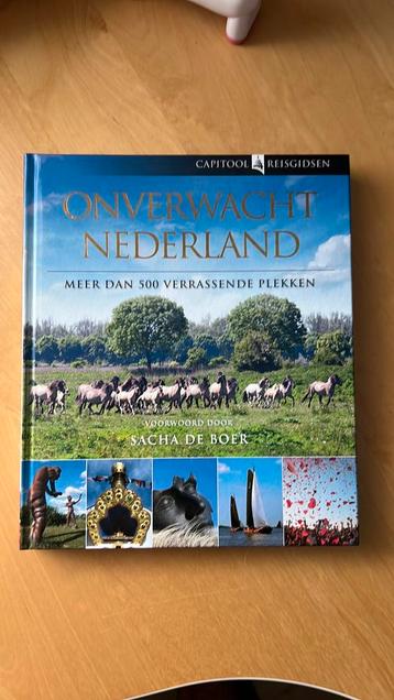 Onverwacht Nederland - Capitool Reisgidsen beschikbaar voor biedingen