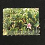 2457 Nederland 2024 Beleef Flora Bonaire*LEES** Sea Purslane, Ophalen of Verzenden, Na 1940, Gestempeld