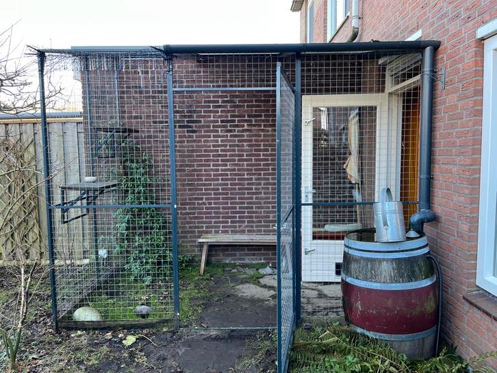 Kattenren 310 x 180 cm, Dieren en Toebehoren, Overige Dieren-accessoires, Gebruikt, Ophalen