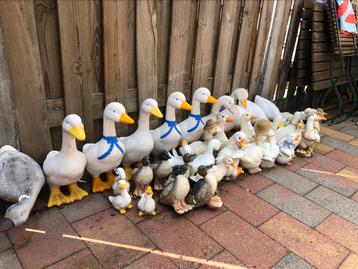 beelden van dieren polyester beschikbaar voor biedingen