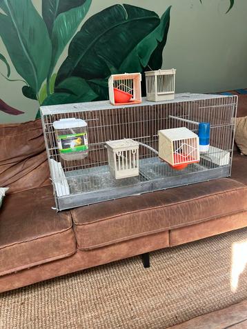 Te koop vogelkooi beschikbaar voor biedingen