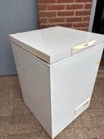 Bosch vrieskist/ vriezer/ diepvries, Witgoed en Apparatuur, Vriezers en Diepvrieskisten, Ophalen of Verzenden, Gebruikt, 85 tot 120 cm