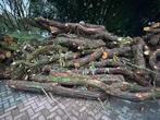Brandhout (Acacia), Minder dan 3 m³, Ophalen, Overige houtsoorten, Stammen