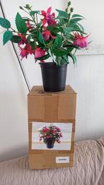 Fuchsia kunstplant(en), Ophalen of Verzenden, Nieuw