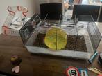 Kooi hamster rat muis hamsterkooi, Minder dan 60 cm, Kooi, Hamster, Minder dan 75 cm