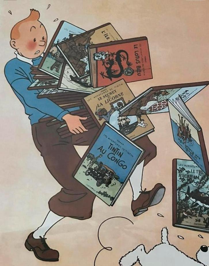 Kuifje poster (franstalig)    50x70. Met of zonder lijst, Verzamelen, Posters, Ophalen of Verzenden