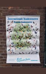 Geïllustreerde sierduivenposter duiven sierduiven rassen, Dieren en Toebehoren, Meerdere dieren, Kropper