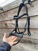 Nieuw BR hoofdstel Zwart / Howden / Maat: Cob, Dieren en Toebehoren, Paarden en Pony's | Hoofdstellen en Tuigage, Ophalen, Nieuw