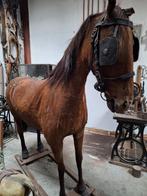 opgezet paard, Ophalen, Gebruikt, Paard, Opgezet dier