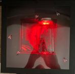 Alice in Chains - Jar of Flies BOX SET, Ophalen of Verzenden, Nieuw in verpakking
