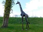 Giraffe Monza - 290 cm - Handgemaakt, Tuin en Terras, Tuinbeelden, Ophalen of Verzenden, Metaal, Dierenbeeld
