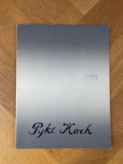 Pyke Koch (1972), Boeken, Kunst en Cultuur | Beeldend, Gelezen, Schilder- en Tekenkunst, Ophalen of Verzenden