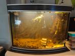 Stevig 180L aquarium met gebogen voorruit, Dieren en Toebehoren, Vissen | Aquaria en Toebehoren, Ophalen, Gebruikt, Gevuld zoetwateraquarium