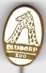 Speldje BLIJDORP ZOO ROTTERDAM GIRAFFE WIT (A5), Verzamelen, Speldjes, Pins en Buttons, Verzenden, Gebruikt, Overige onderwerpen
