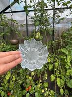 Glazen bloem gebladen schaaltje stevig glas, Ophalen of Verzenden, Zo goed als nieuw, Glas, Overige stijlen