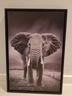 Canvas olifant, Huis en Inrichting, Woonaccessoires | Schilderijen, Tekeningen en Foto's, Ophalen of Verzenden, Zo goed als nieuw