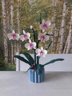 Lego Orchidee 10311, Ophalen of Verzenden, Zo goed als nieuw