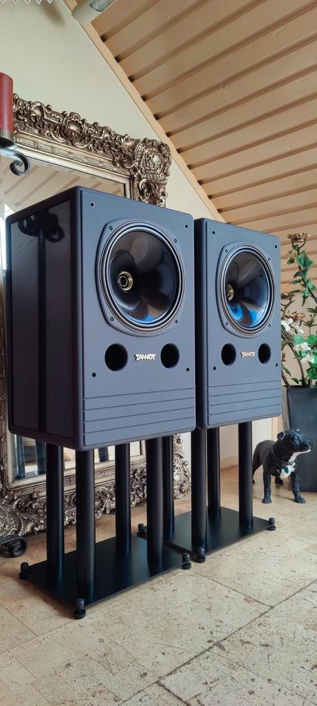 Tannoy System 12 DMT II Dualconcentric - Veld Shadow Grey., Audio, Tv en Foto, Luidsprekers, Zo goed als nieuw, Front, Rear of Stereo speakers