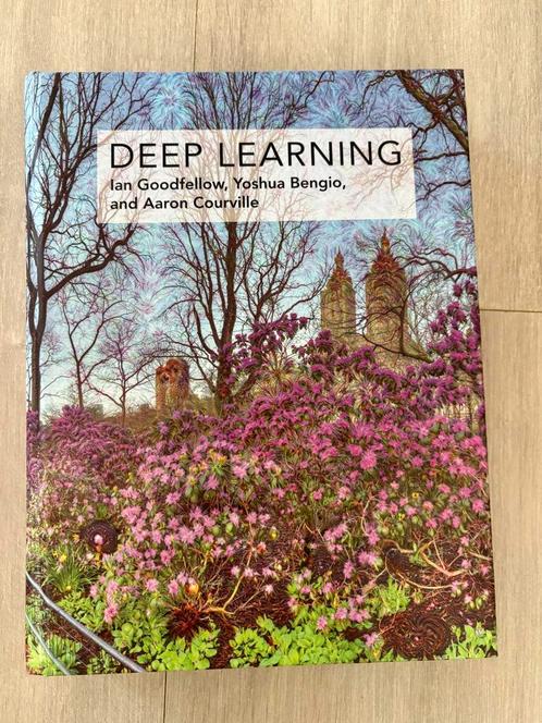 Deep Learning - Goodfellow, Bengio, Courville, Boeken, Informatica en Computer, Zo goed als nieuw, Programmeertaal of Theorie