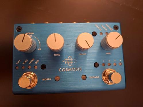 Pigtronix Cosmosis Reverb pedaal, Muziek en Instrumenten, Effecten, Zo goed als nieuw, Reverb, Ophalen