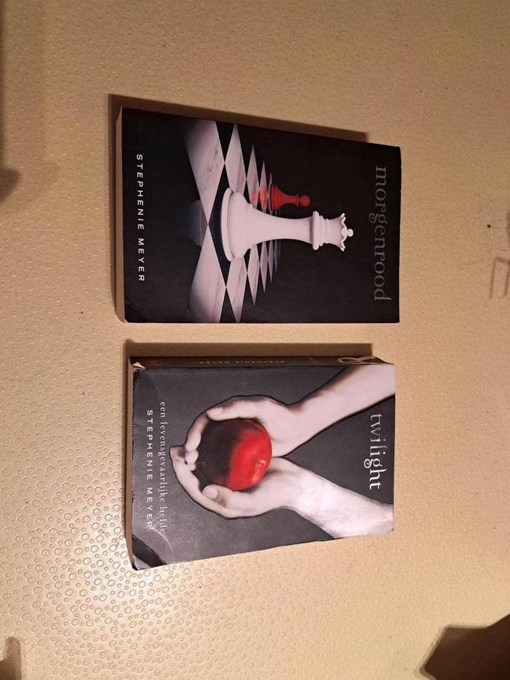 Stephenie Meyer - Twilight en Morgenrood, Boeken, Kinderboeken | Jeugd | 13 jaar en ouder, Zo goed als nieuw, Ophalen of Verzenden