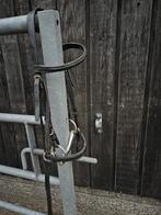 2 hoofdstellen, Ophalen of Verzenden, Zo goed als nieuw, Overige soorten