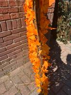 Wilge trellis, Ophalen of Verzenden, Overige soorten, Haag, 100 tot 250 cm