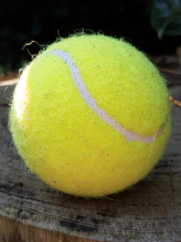 30 + Gebruikte tennisballen € 0.25 per stuk  beschikbaar voor biedingen