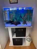 Superfish Home 110, Dieren en Toebehoren, Ophalen, Zo goed als nieuw, Gevuld zoetwateraquarium
