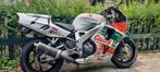 Castrol Honda 900 RR Fireblade 1993, Motoren, Motoren | Honda, 4 cilinders, 900 cc, Super Sport, Particulier