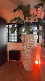 Enorme pot xxl 150cm twee op voorraad €1000 per stuk, Ophalen of Verzenden, Zo goed als nieuw