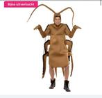 Carnaval carnavalspak kakkerlak volwassenen, Ophalen of Verzenden, Zo goed als nieuw