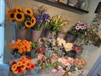Verse snijbloemen recht van het land, Ophalen, Voorjaar, Volle zon, Zaad
