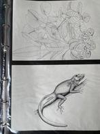 Pentekeningen, Antiek en Kunst, Kunst | Tekeningen en Foto's, Ophalen of Verzenden