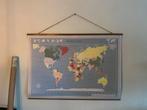 Poster world map, Antiek en Kunst, Ophalen of Verzenden, Natuur en Biologie