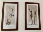 Twee Mooie Sepia Bloemenlijsten, Huis en Inrichting, Ophalen of Verzenden, Zo goed als nieuw, Foto of Poster, Minder dan 50 cm